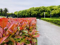 -美兰湖景区