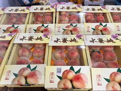 -南汇水蜜桃采摘(大团店)