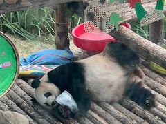 -大连森林动物园