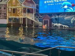-西安曲江海洋极地公园