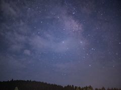 -武陵山森林公园