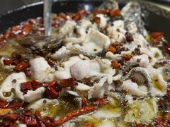 -金三可市井水煮鱼(金碧园店)