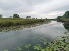 -太湖湖滨国家湿地公园-停车场