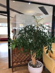 点击看大图 -爱儿美儿童摄影(朝阳公园店)