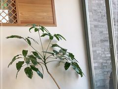 -VOYAGE COFFEE(杨梅竹店)