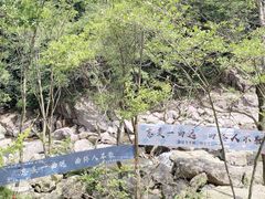 -百杖潭景区