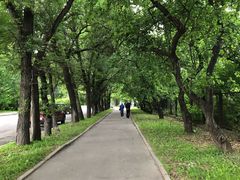 -莫斯科大学