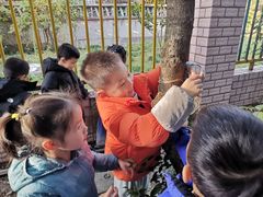 -上海市宝山星佑博爱幼儿园