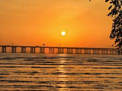 -宝安西湾红树林湿地公园