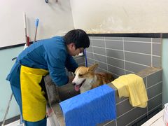 -嘉馨宠物医院·CT影像转诊·心脏科·犬猫全科诊疗中心(下沙大学城院区)