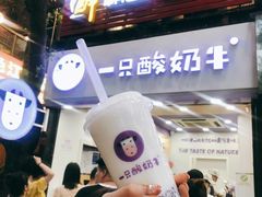-成都失恋馆