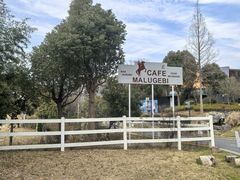 -天目湖涵田半山温泉