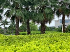 -厦门高崎国际机场-T3航站楼