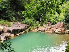 -广州白江湖森林公园