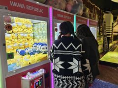 -大鲁阁保龄球(苏州园区店)