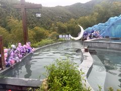 -天目湖涵田半山温泉