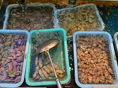 -鑫悦楼煎蟹·16年海鲜大排档