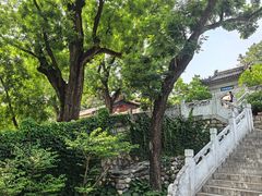-红螺寺