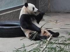 -西安秦岭野生动物园