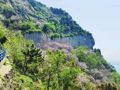 -灵山岛风景区
