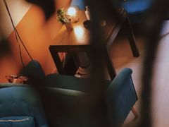 -喜柴咖啡·柴犬狗咖