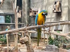 -大连森林动物园