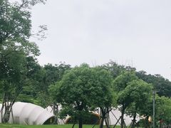 -飞凤山奥体公园