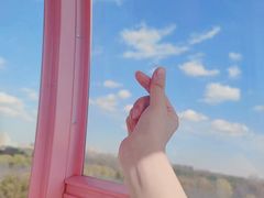 -顾村公园