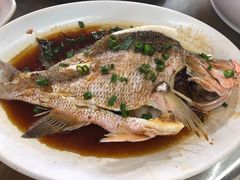 清蒸石斑鱼-明记海鲜大排档(巽寮湾店)