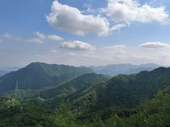 -大岭沟猕猴桃谷风景区