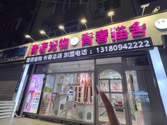 -青奢宠物·青奢猫舍