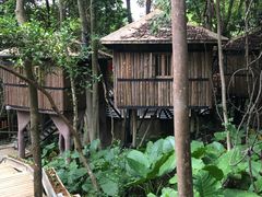 -天门沟九州驿站树上汤泉