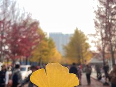 -辽宁大学(崇山校区)