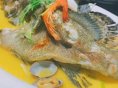 渔夫蒸珍珠斑-79号渔船海鲜饭店(华强北店)