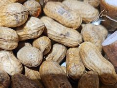 -巴人堂(女儿城店)