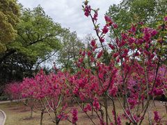 -上海市龙华烈士陵园