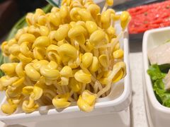 -海底捞火锅(高科广场店)