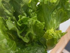 -千牛将·鲜牛肉火锅(开元路店)