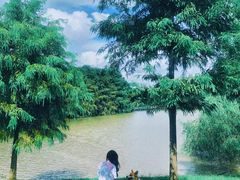 -上海海湾国家森林公园