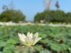 -重元寺香积厨素斋馆