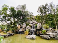 -东莞植物园