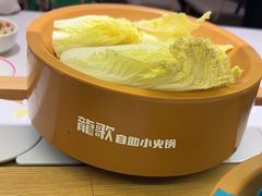 -龍歌自助小火锅(崂山丽达店)