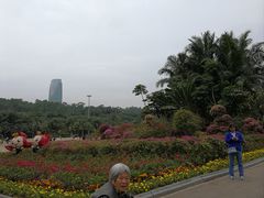 -莲花山公园