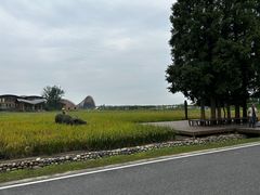 -中国天府农业博览园