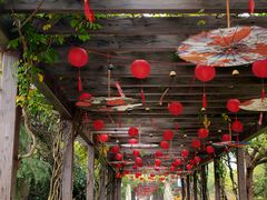 -白马涧龙池景区