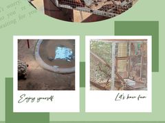 -西霞口神雕山野生动物世界