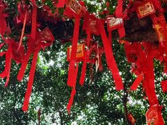 -国恩寺
