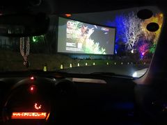 -枫花园汽车电影院(朝阳公园店)