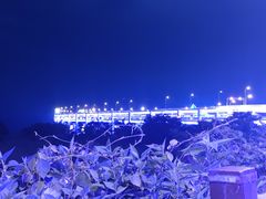 -星海湾跨海大桥