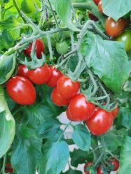 -Oasis Beauty水磨坊科技美肤中心